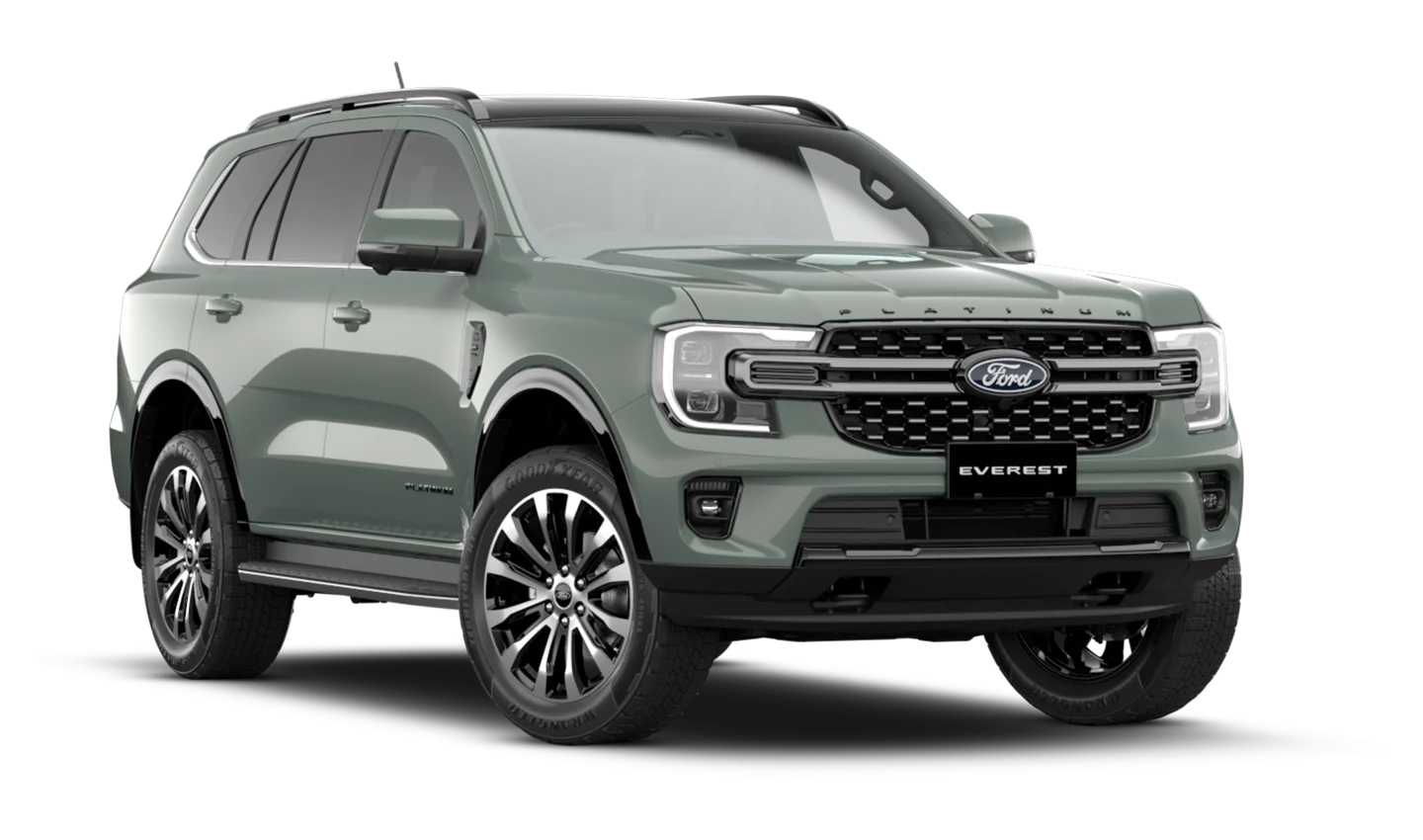 Everest Platinum